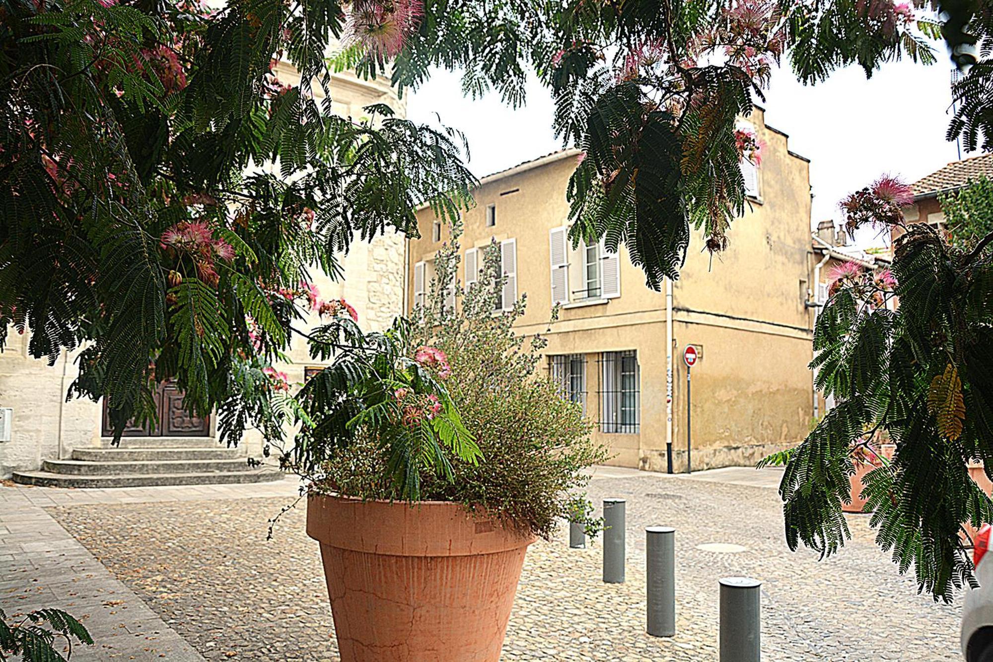 Maison Rascas - Centre Historique - Air Conditioning- Wifi Avignone Esterno foto